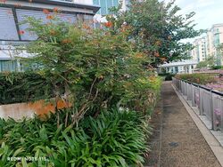 Caribbean At Keppel Bay (D4), Condominium #530869451